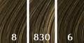 8/830/6